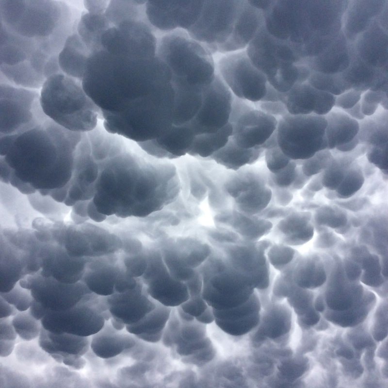 amazing mammatus clouds